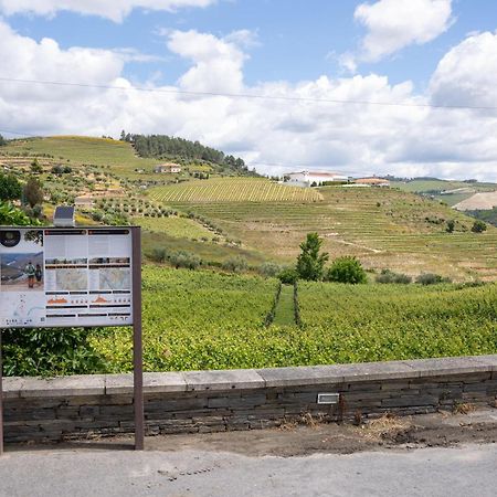 Casa Dona Edite Guesthouse Douro Vilarinho de Cotas Esterno foto