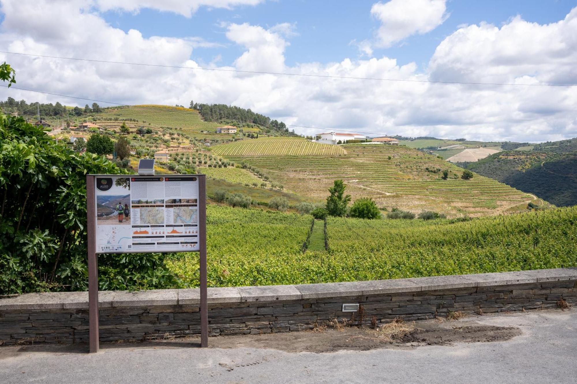 Casa Dona Edite Guesthouse Douro Vilarinho de Cotas Esterno foto